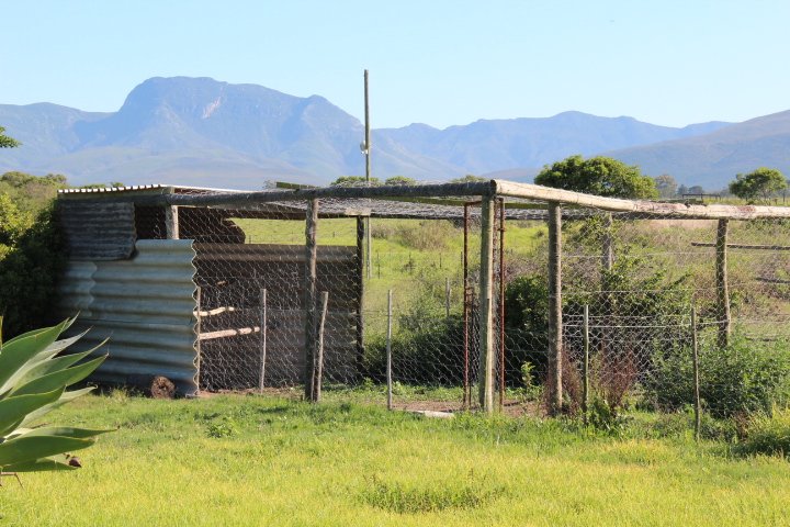 To Let 3 Bedroom Property for Rent in Klein Brak Western Cape